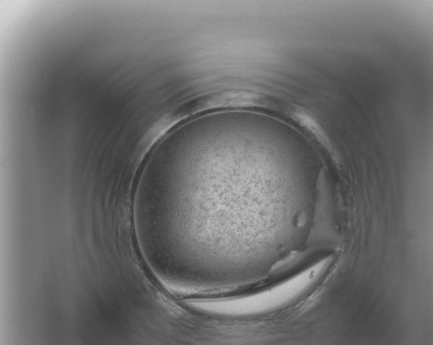 X0000067501081200604150101