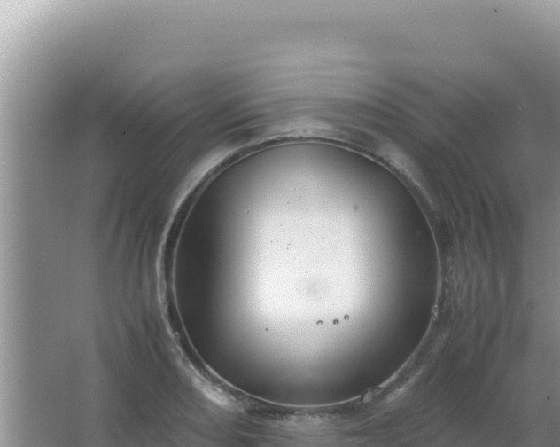 X0000067501082200604150101