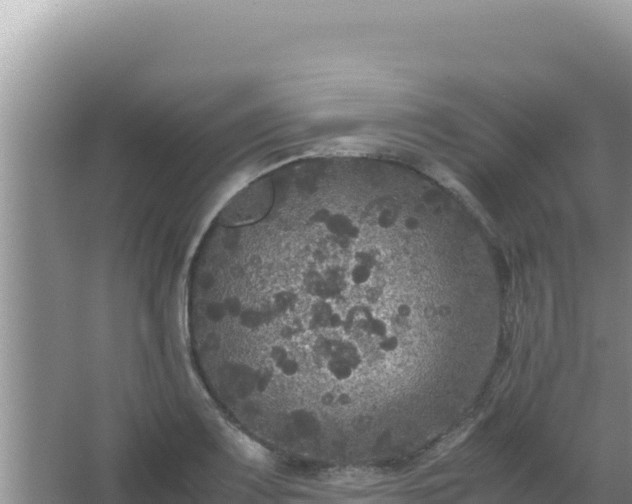 X0000067501083200604150101