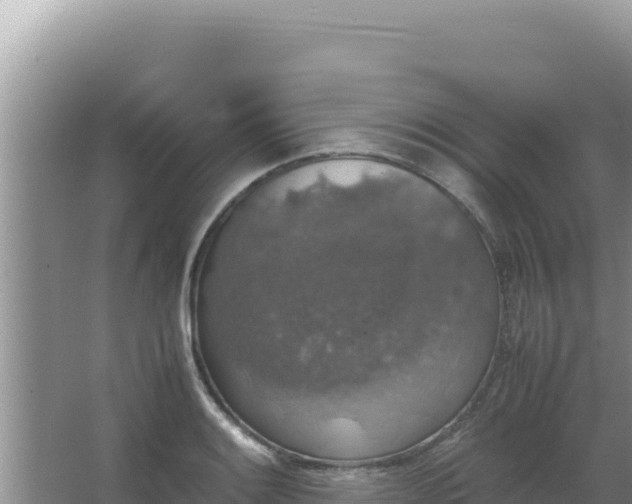 X0000067501084200604150101