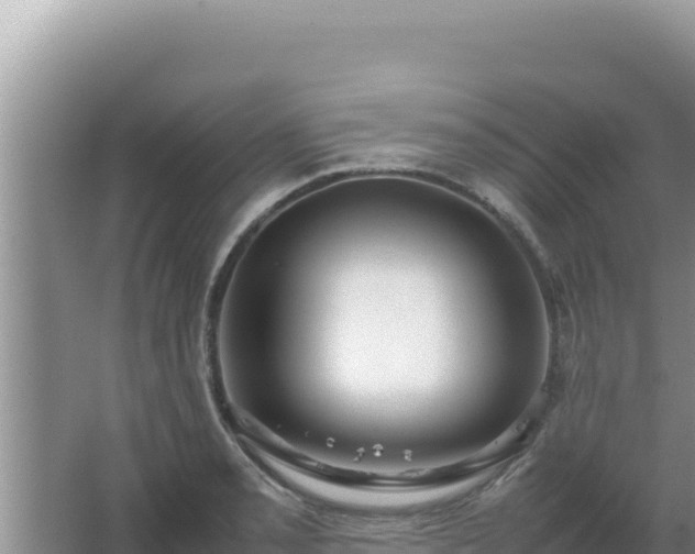 X0000067501085200604150101