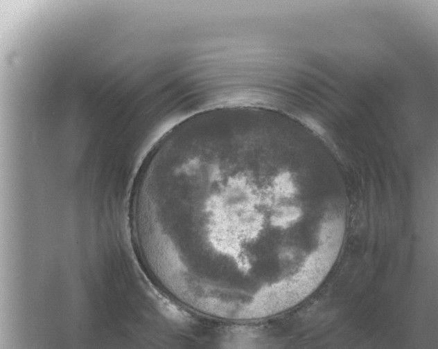 X0000067501086200604150101