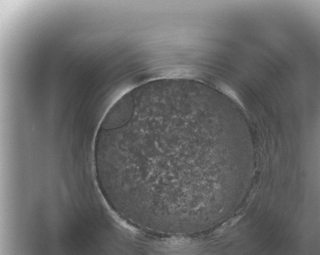 X0000067501087200604150101