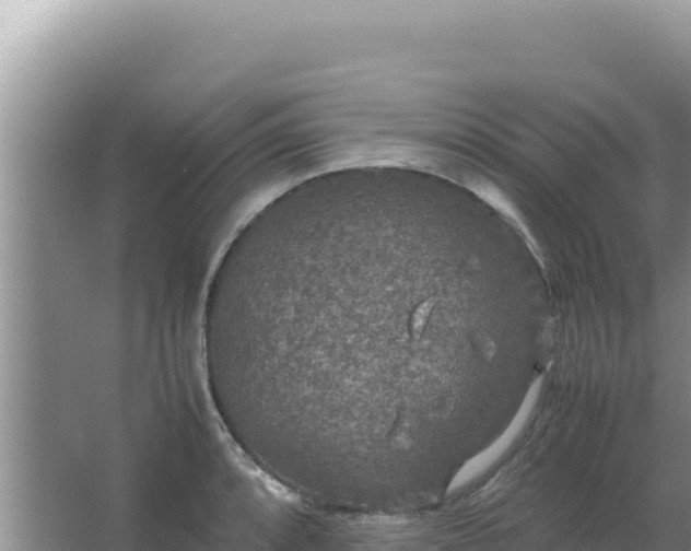 X0000067501088200604150101