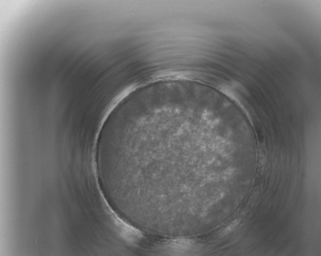 X0000067501090200604150101