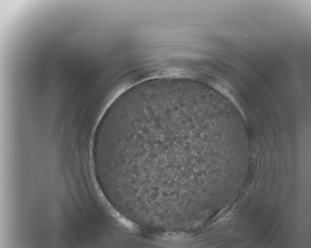 X0000067501091200604150101