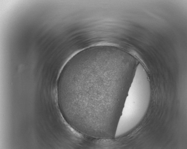 X0000067501092200604150101