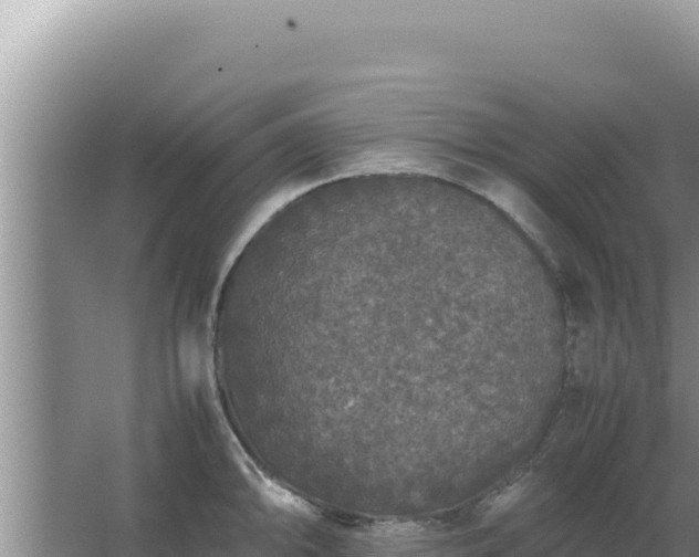 X0000067501094200604150101