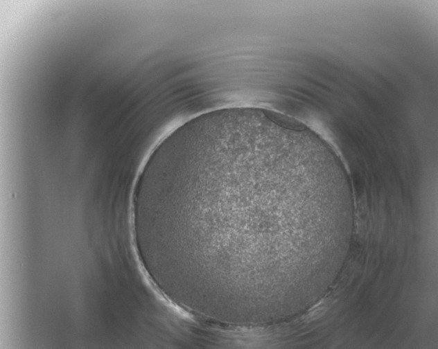 X0000067501096200604150101