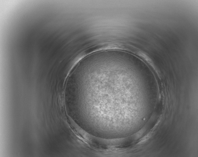 X0000067501097200604150101