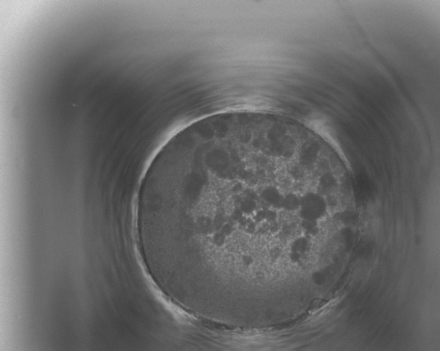 X0000067501099200604150101