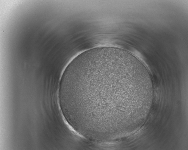 X0000067501100200604150101