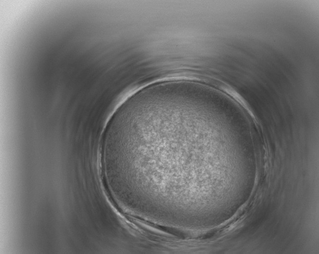 X0000067501101200604150101