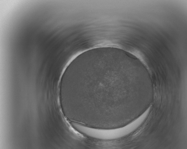 X0000067501102200604150101