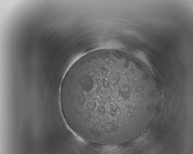 X0000067501103200604150101