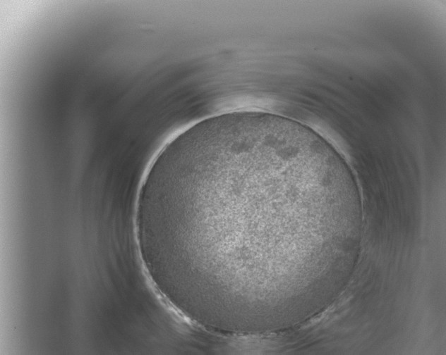 X0000067501104200604150101