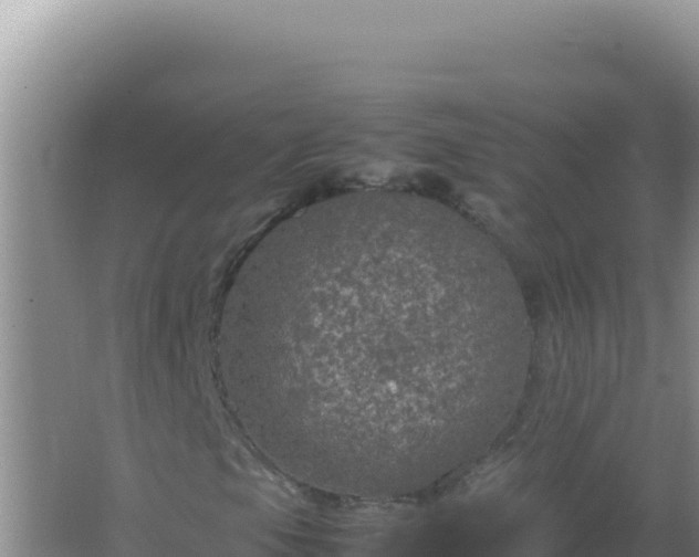 X0000067501105200604150100