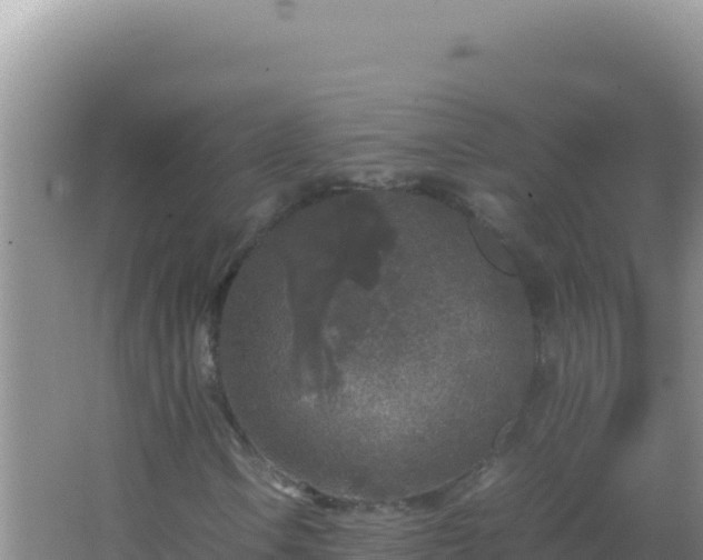 X0000067501106200604150100