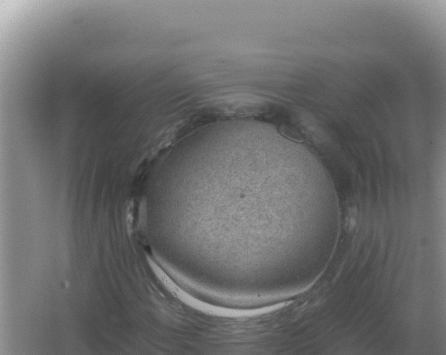 X0000067501108200604150100