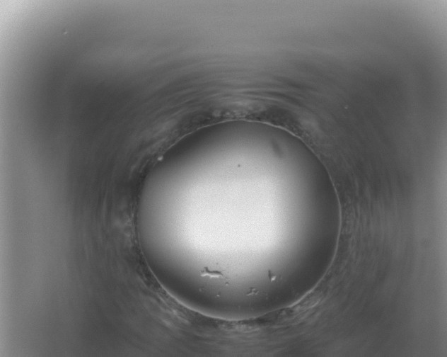 X0000067501109200604150100