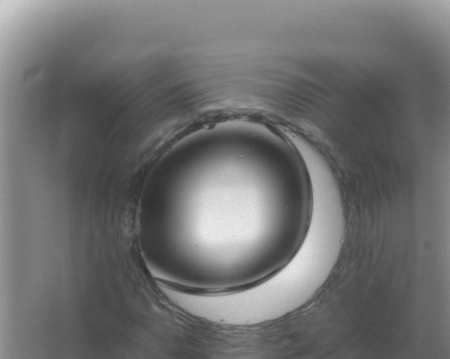 X0000067501110200604150100