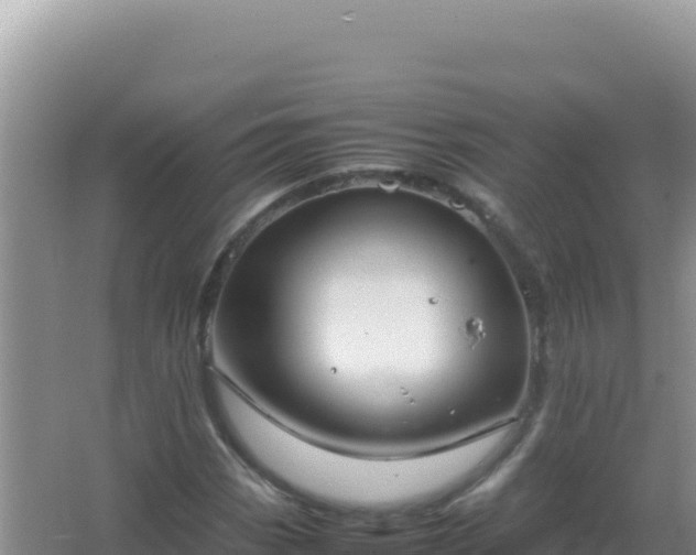 X0000067501113200604150100