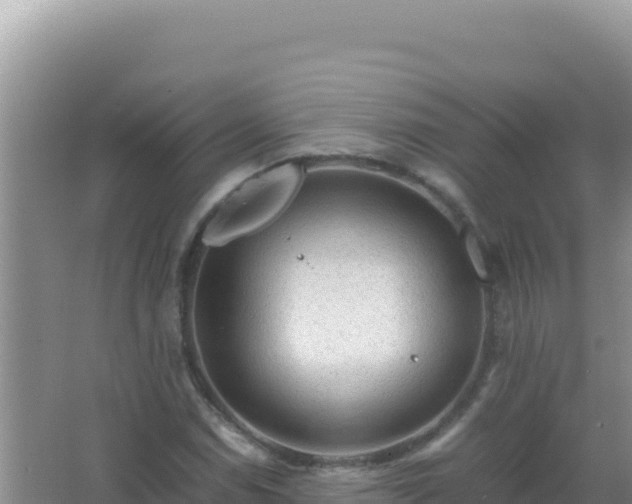 X0000067501114200604150100