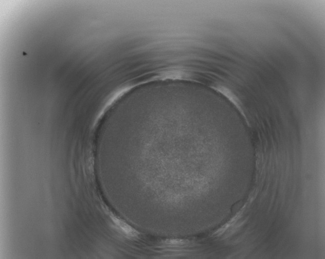 X0000067501115200604150100