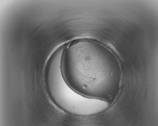 X0000067501116200604150100