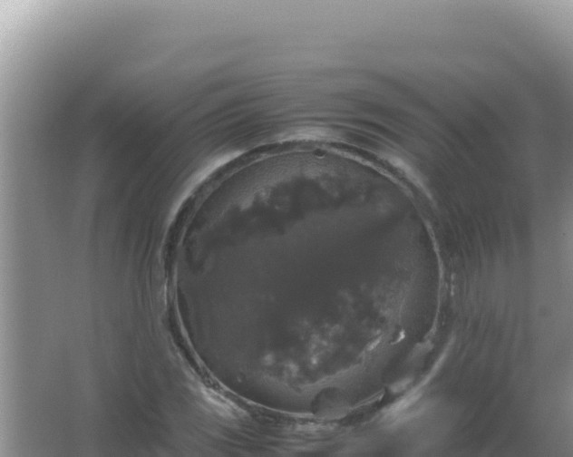 X0000067501117200604150100