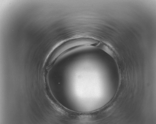 X0000067501118200604150100