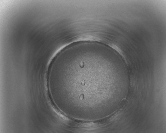 X0000067501120200604150100