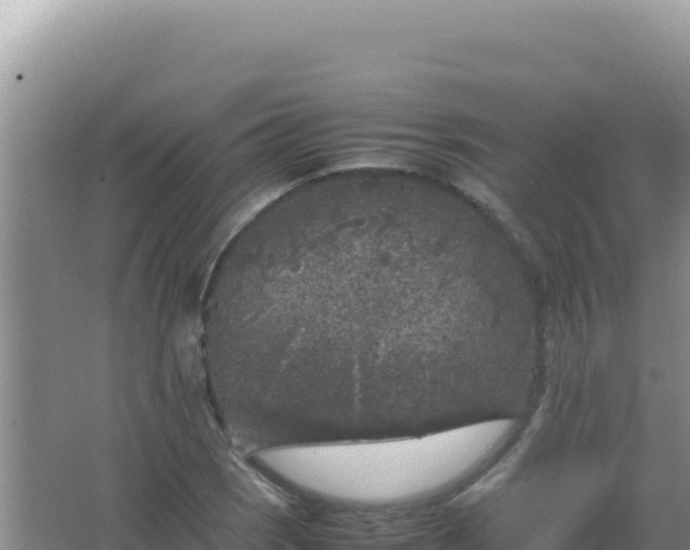 X0000067501121200604150100