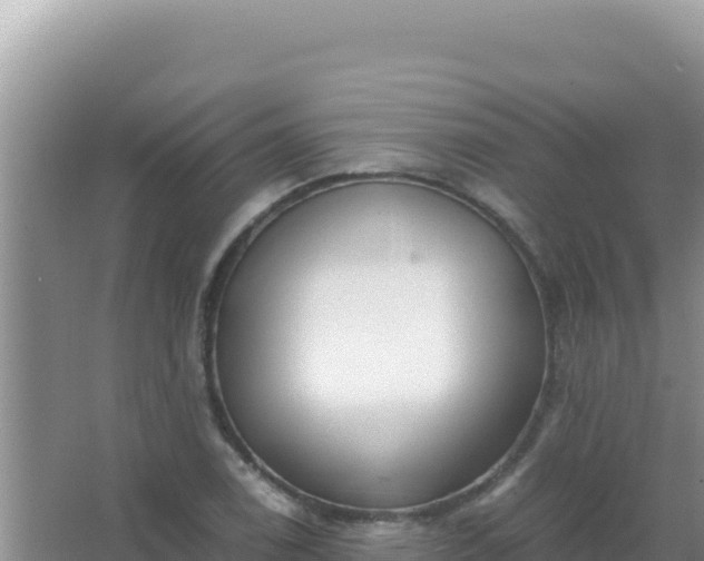 X0000067501122200604150100