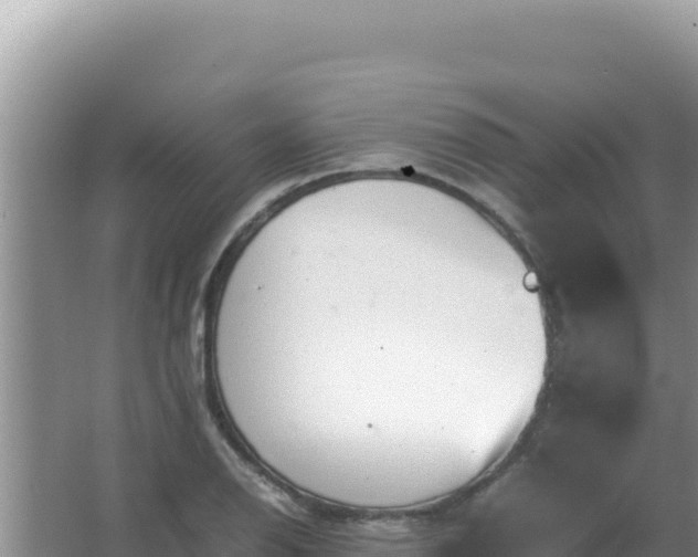 X0000067501126200604150101