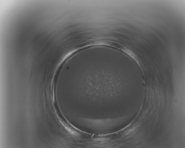 X0000067501127200604150101