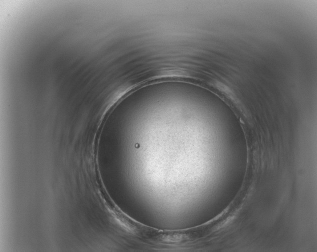 X0000067501129200604150101