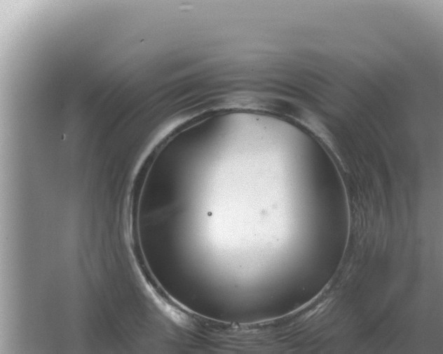 X0000067501131200604150101