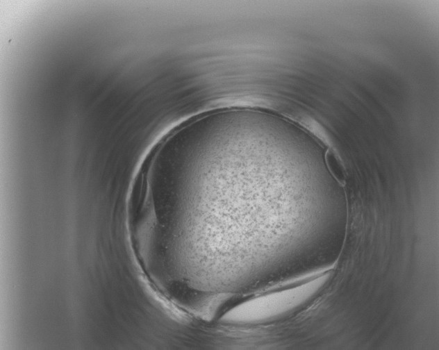 X0000067501132200604150101