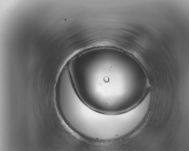 X0000067501134200604150101