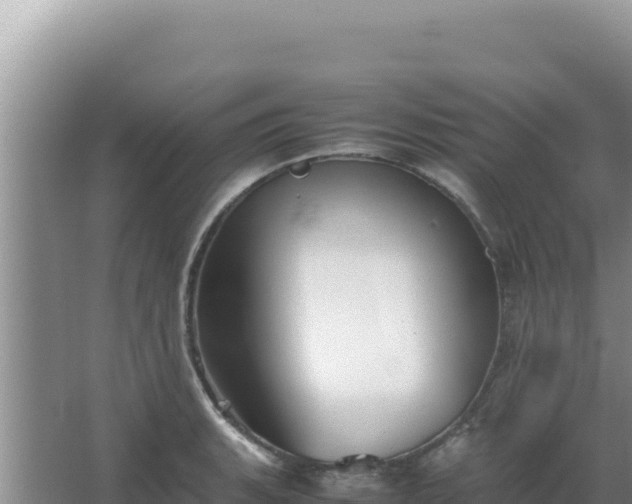 X0000067501135200604150101