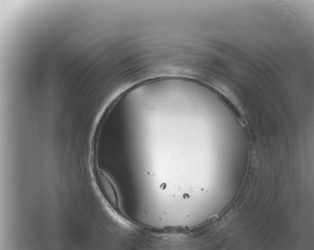 X0000067501136200604150101