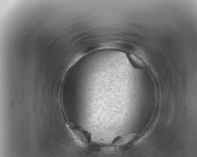 X0000067501137200604150101