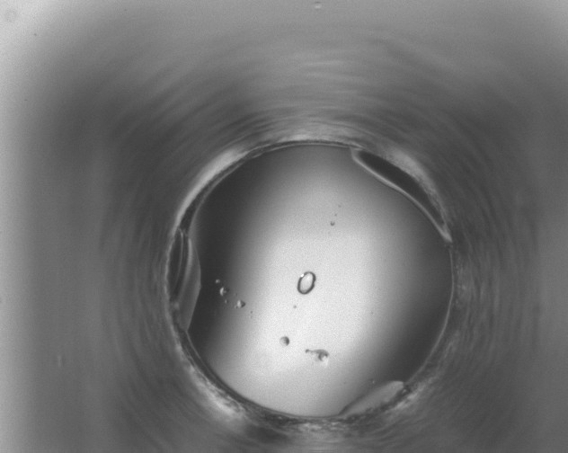 X0000067501138200604150101