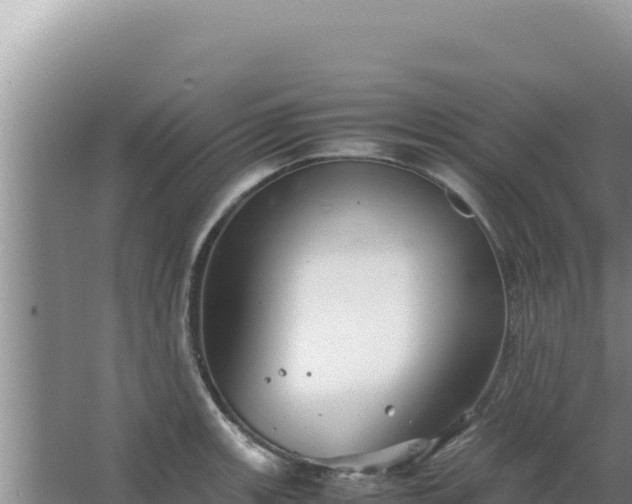 X0000067501139200604150101