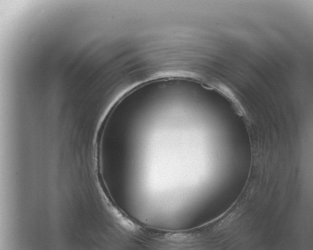 X0000067501140200604150101