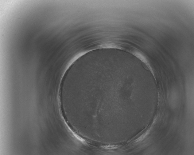 X0000067501141200604150101