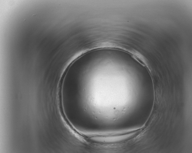 X0000067501142200604150101