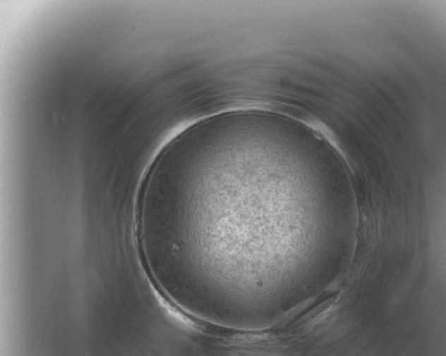 X0000067501143200604150101