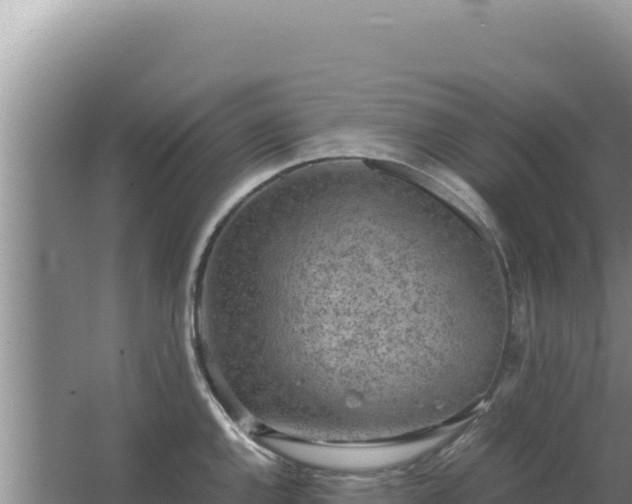 X0000067501144200604150101